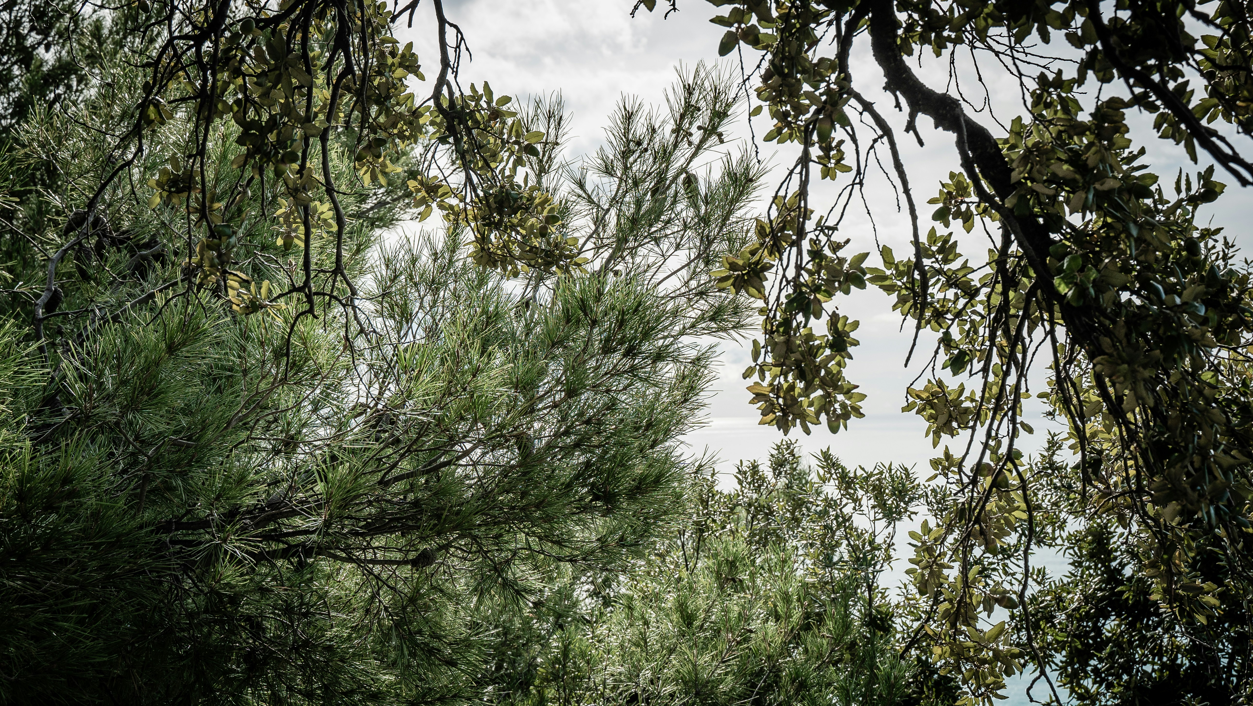 Photo by cutandcotton