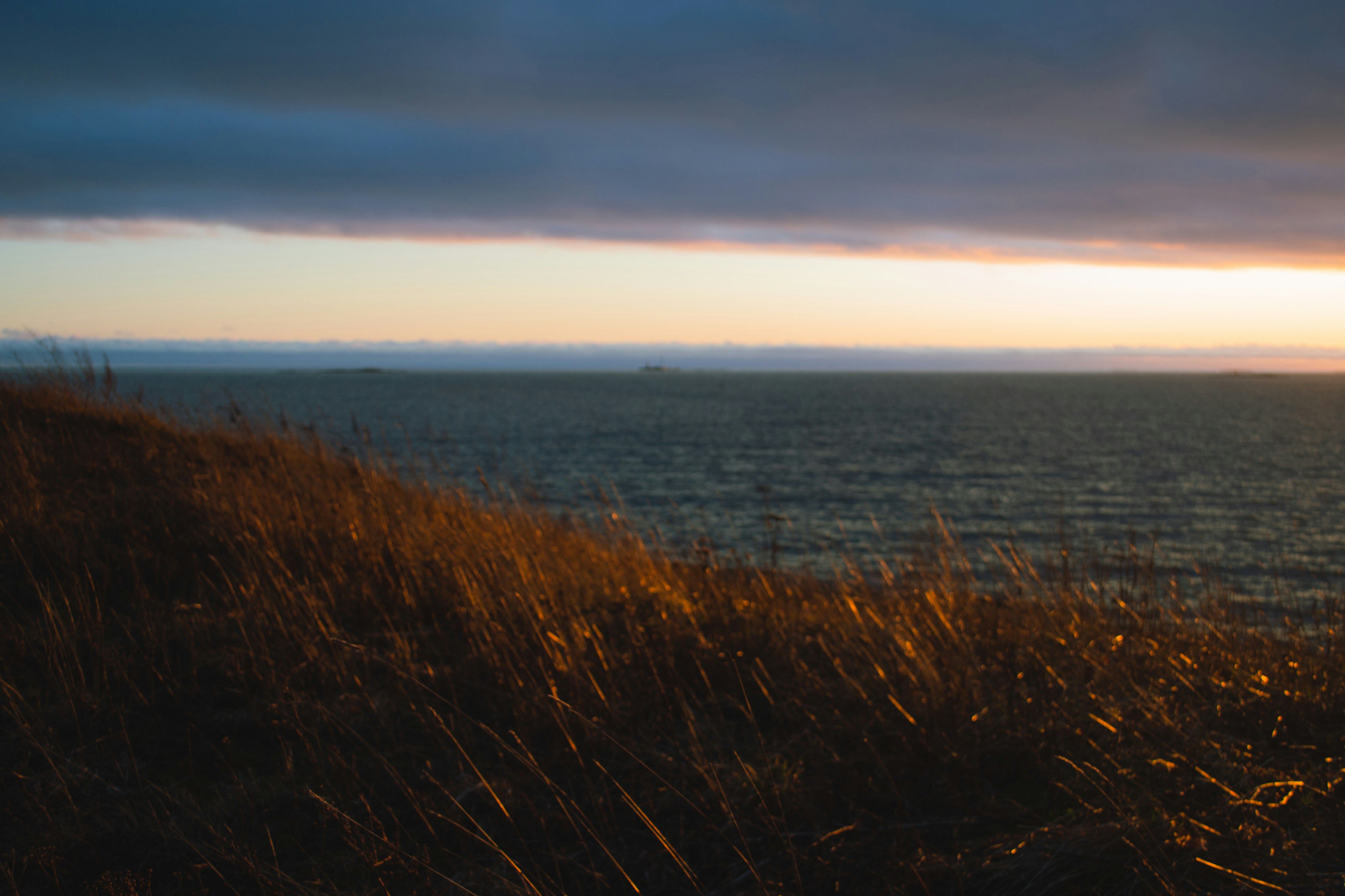 Photo by walking_abby