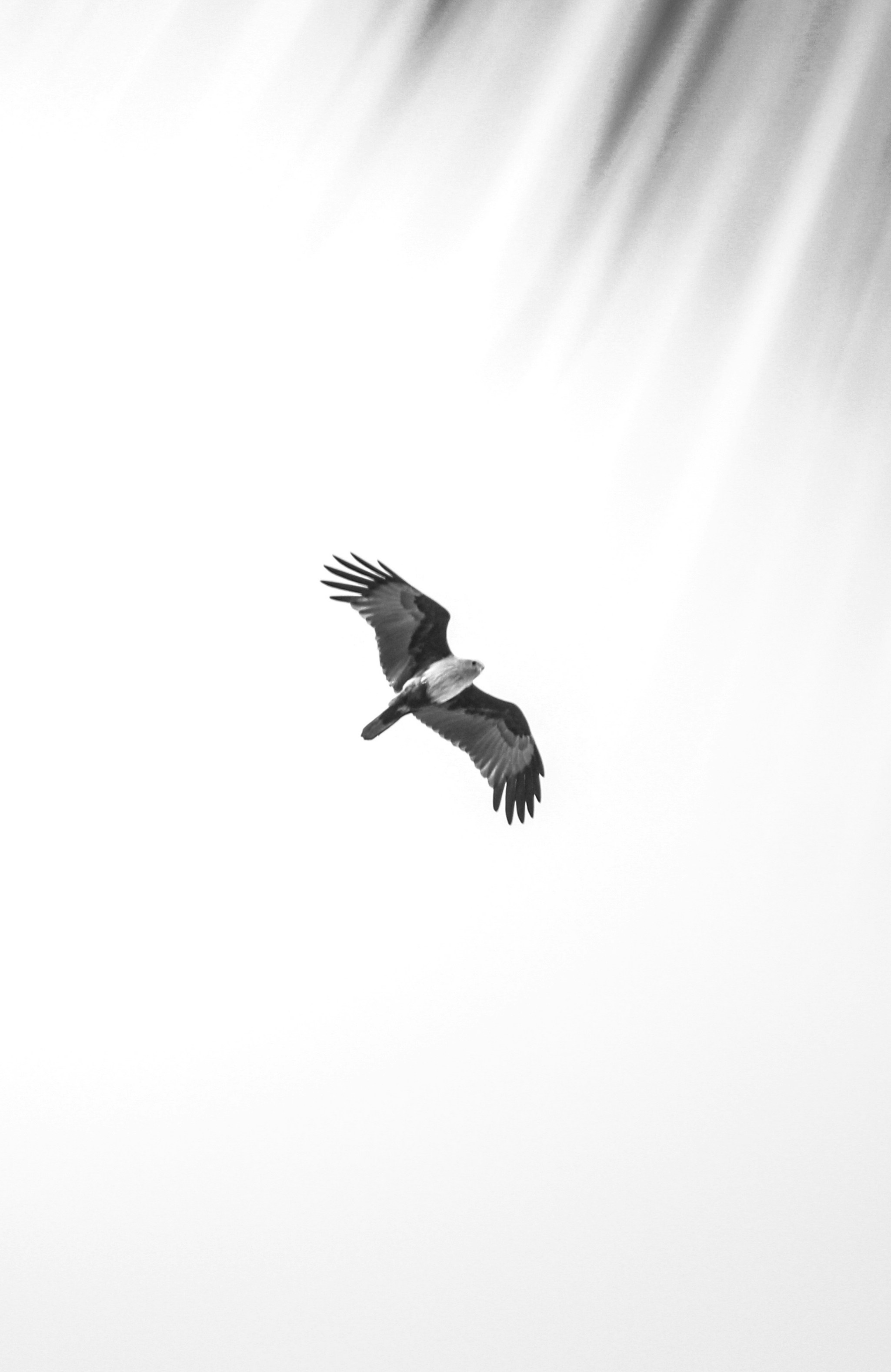 Photo by choudharyankith