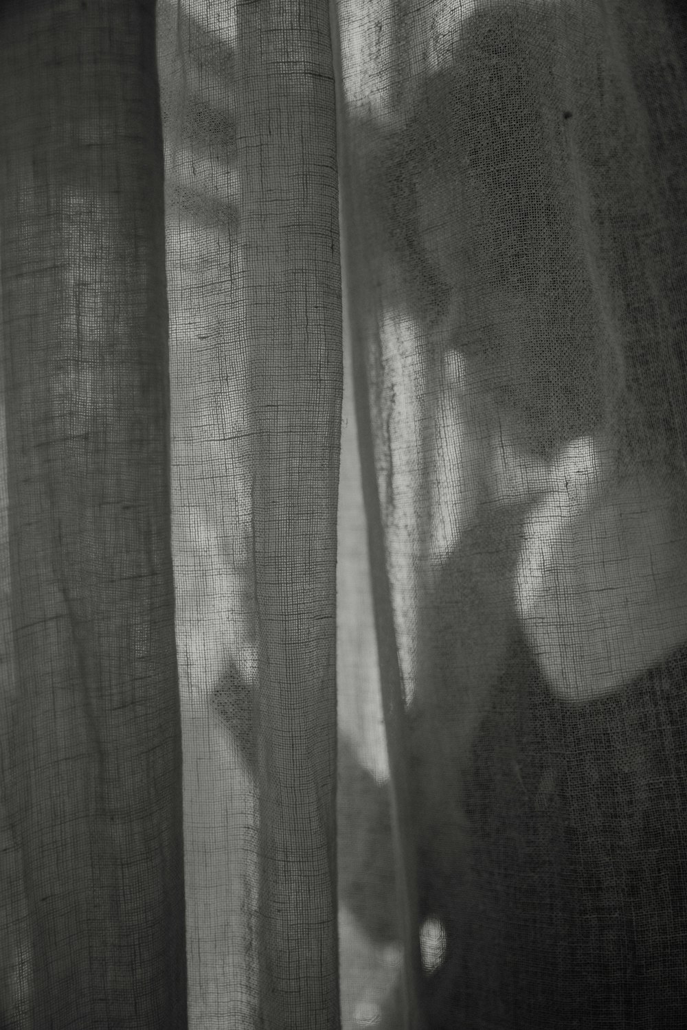 grayscale photo of a person standing in front of a window curtain