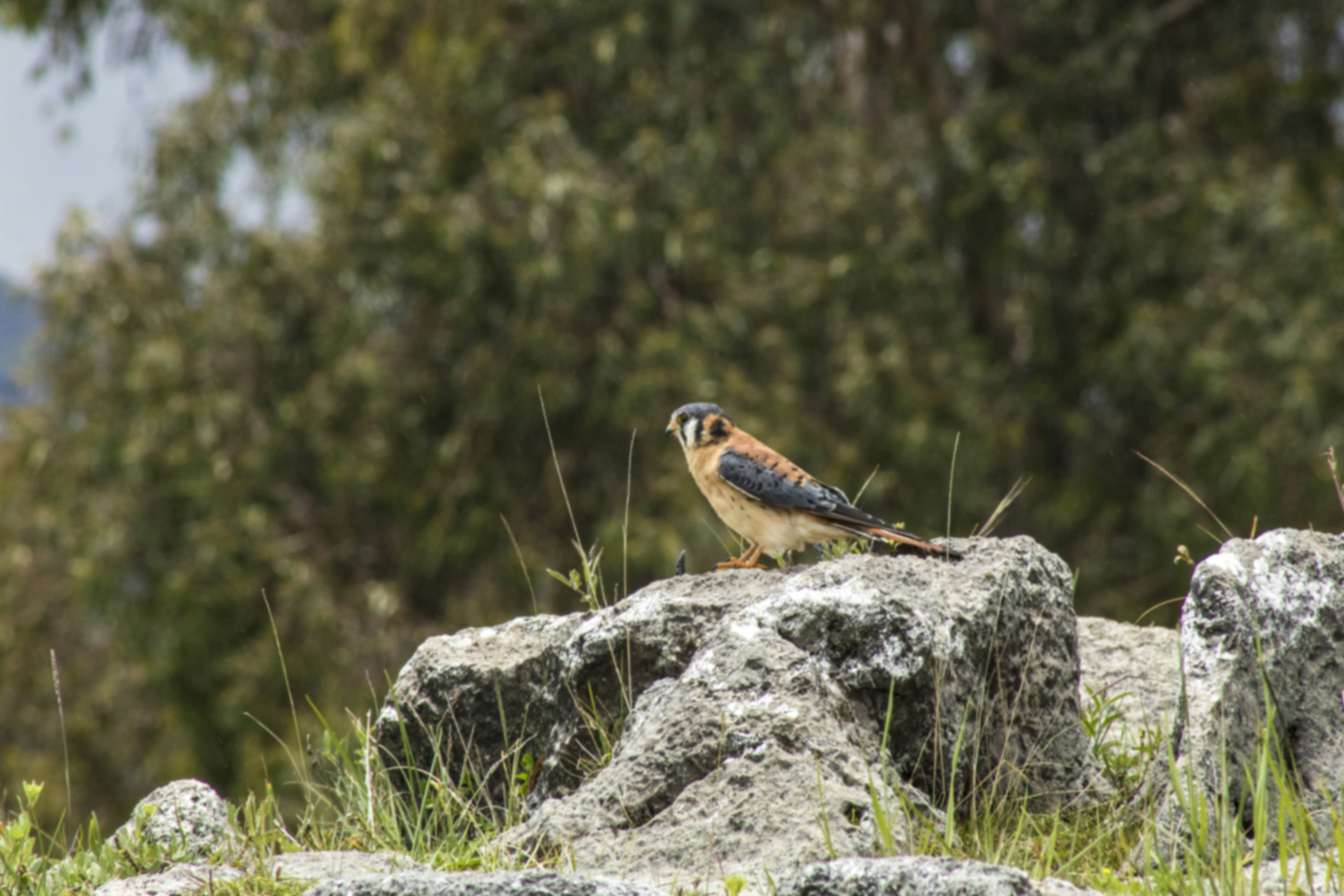 Photo by astroviajes30