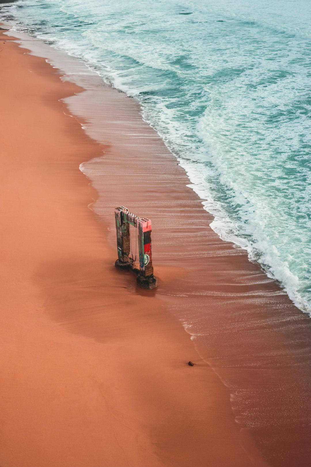 people on beach during daytime