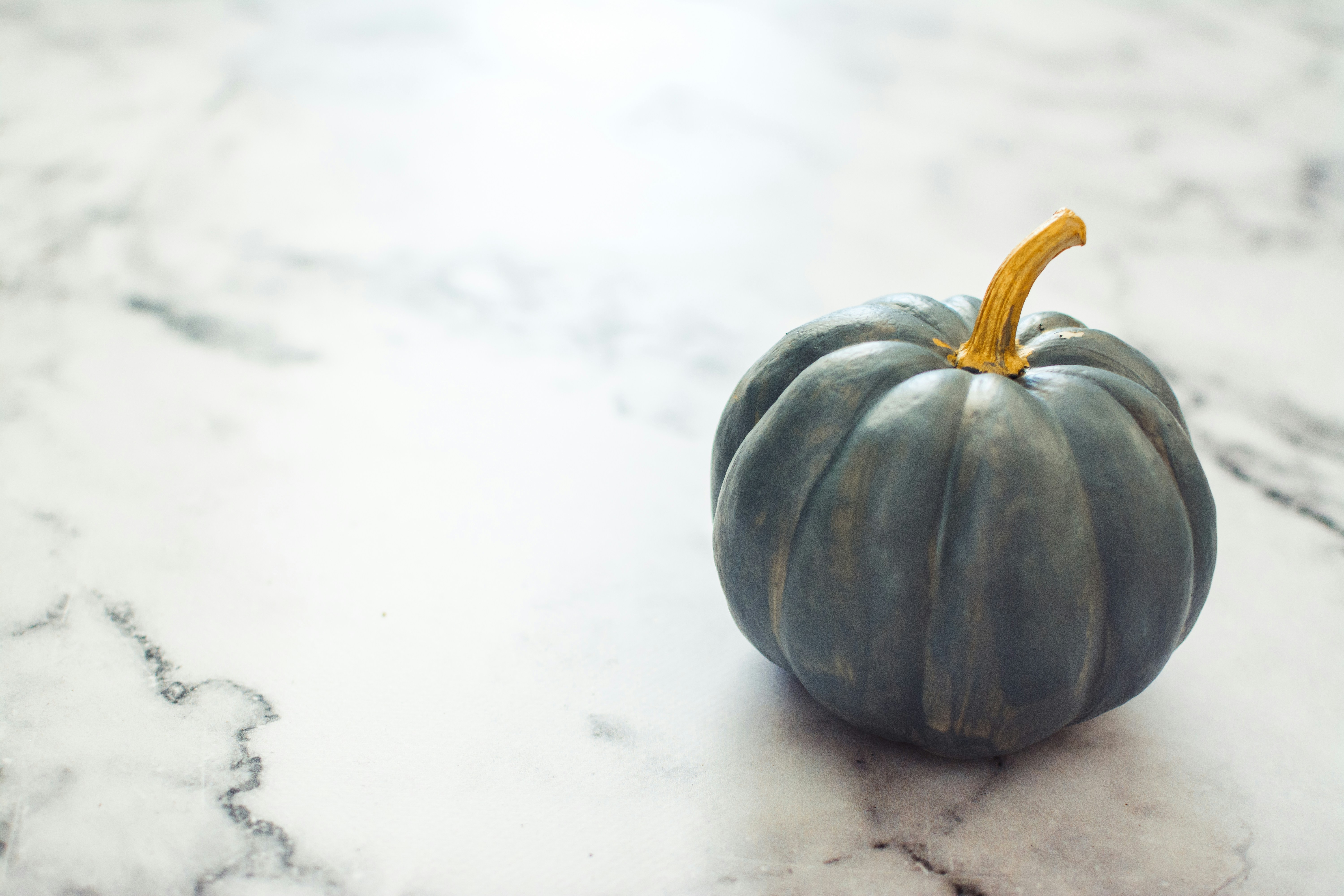 Photo by carmencreative