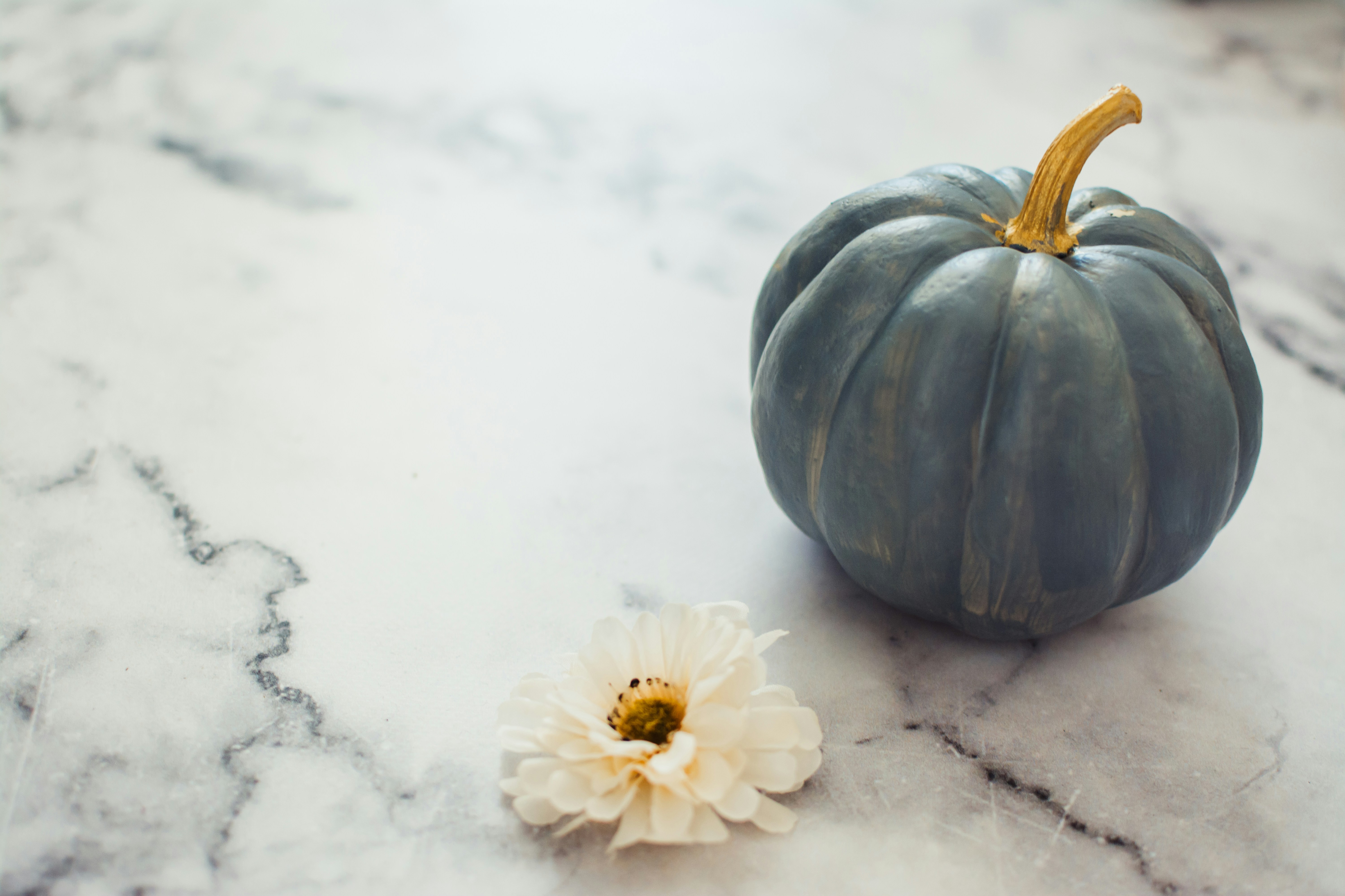 Photo by carmencreative