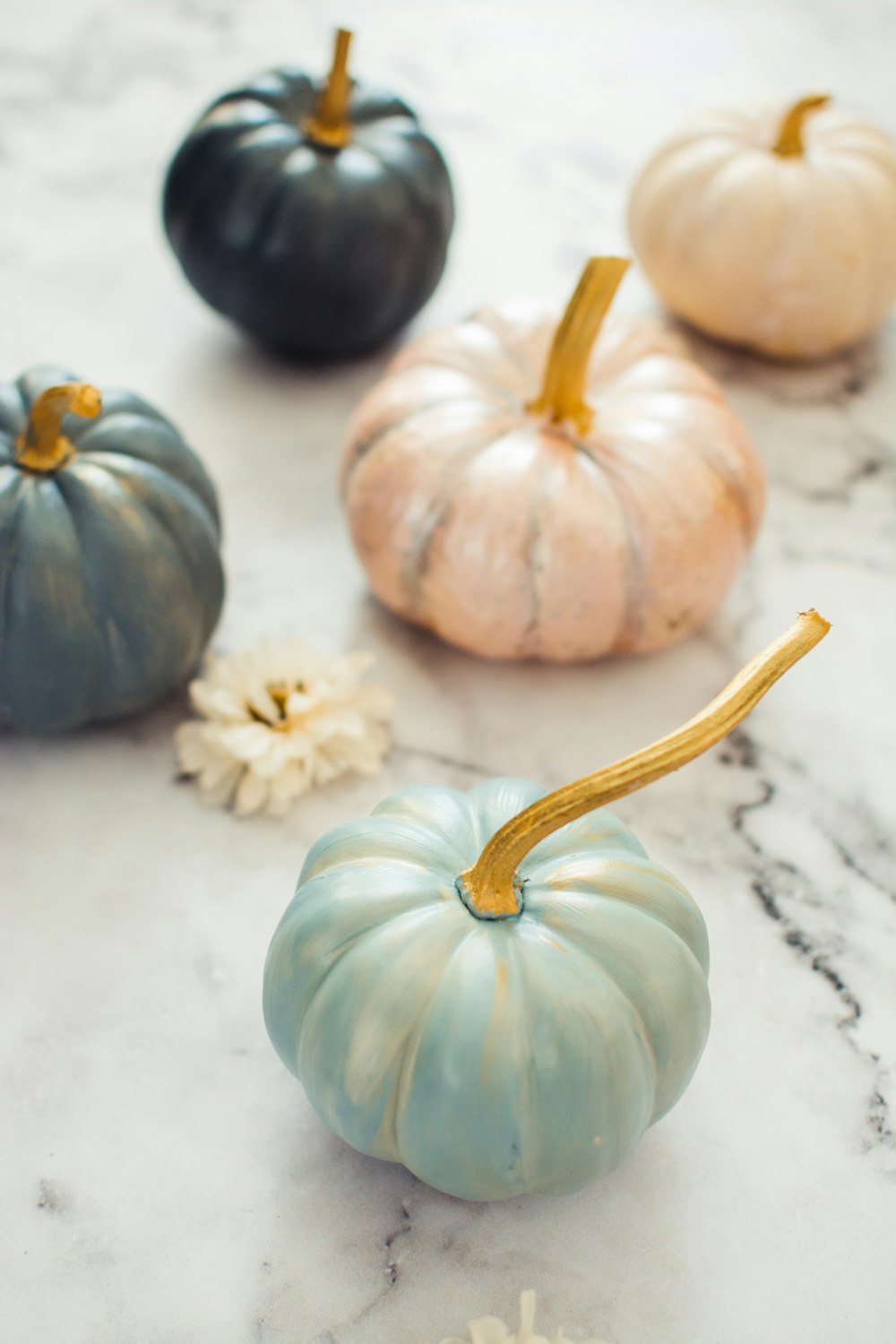 orange and white pumpkin on white table