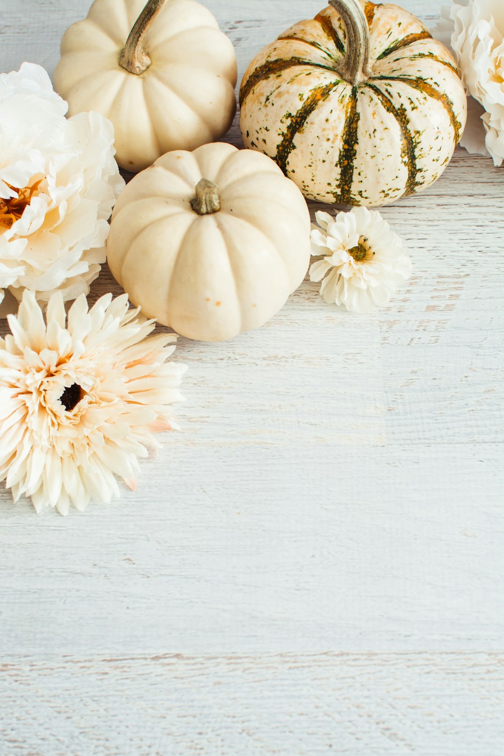 white and yellow pumpkin on white wooden table