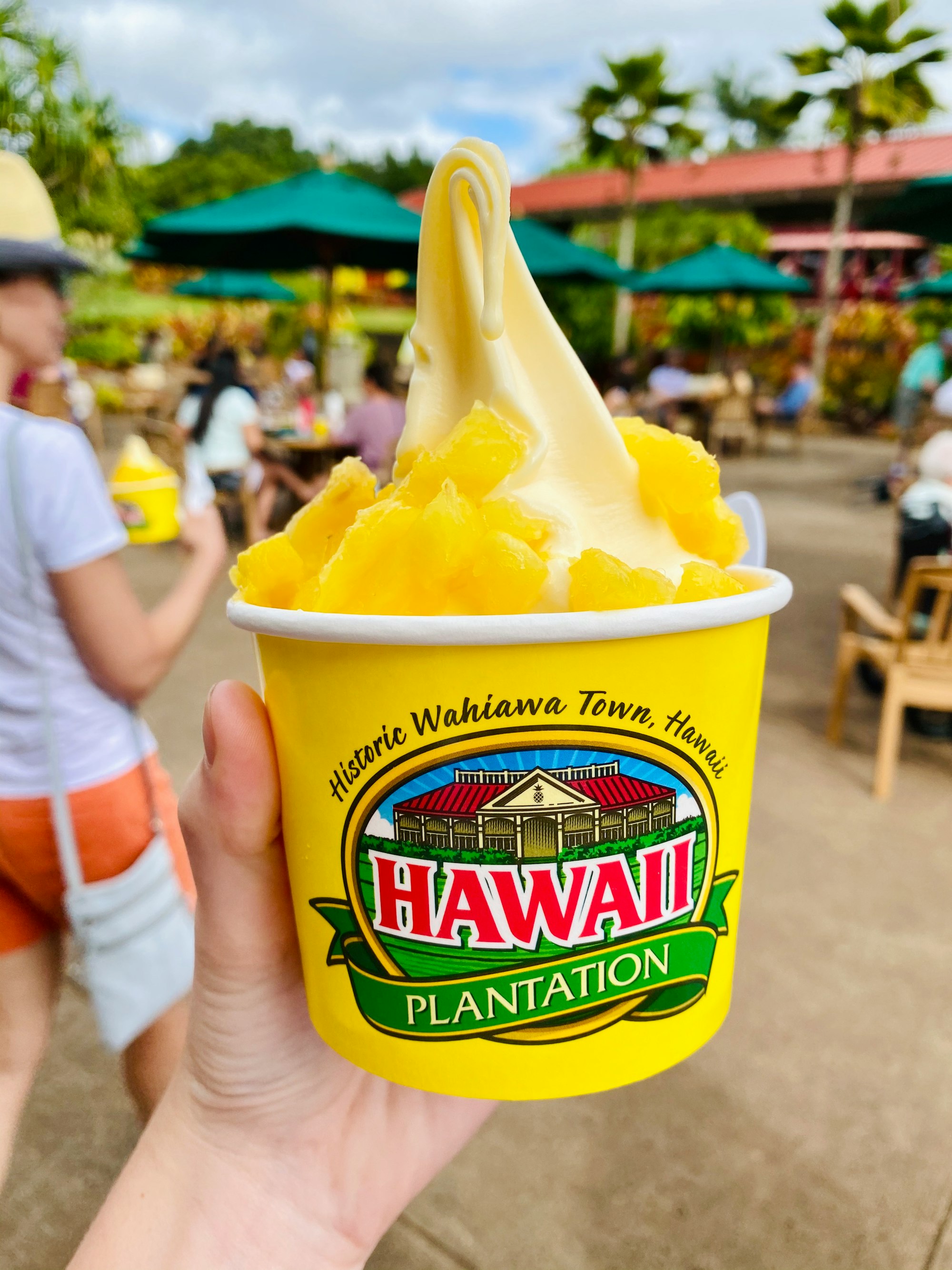 Dole whip on the Dole plantation in Oahu