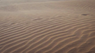 A desert landscape where sand dunes appear to ripple like waves.