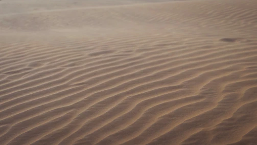 A desert landscape where sand dunes appear to ripple like waves.