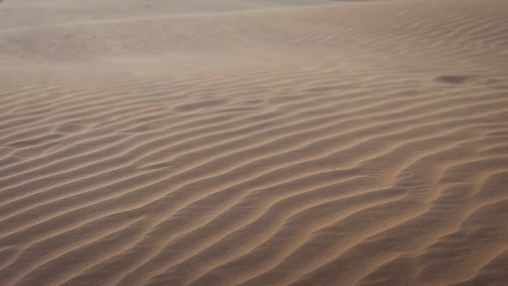 sabbia marrone con acqua durante il giorno