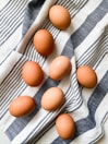brown egg on white and blue stripe textile