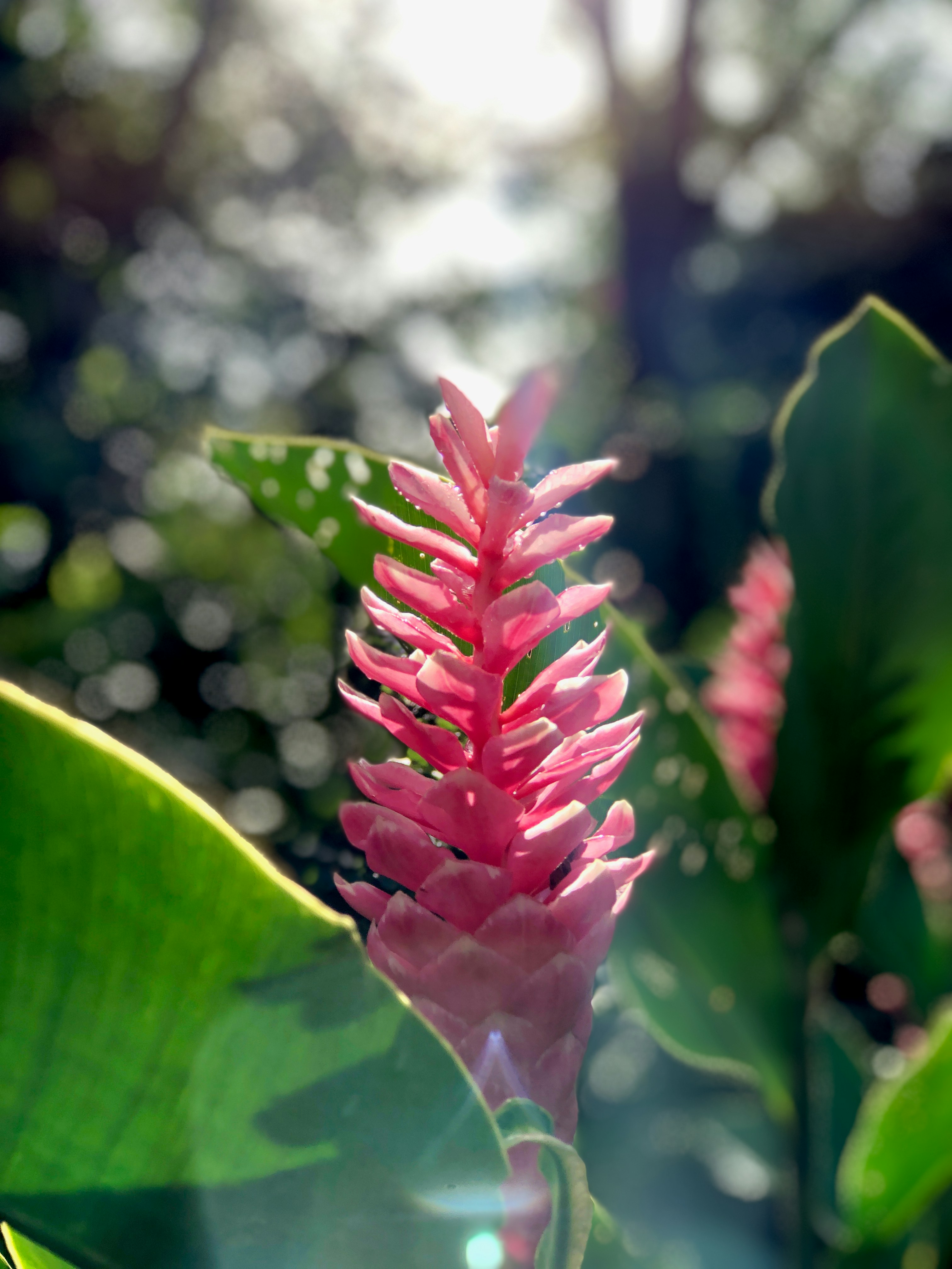 Photo by 2nd_prspctv