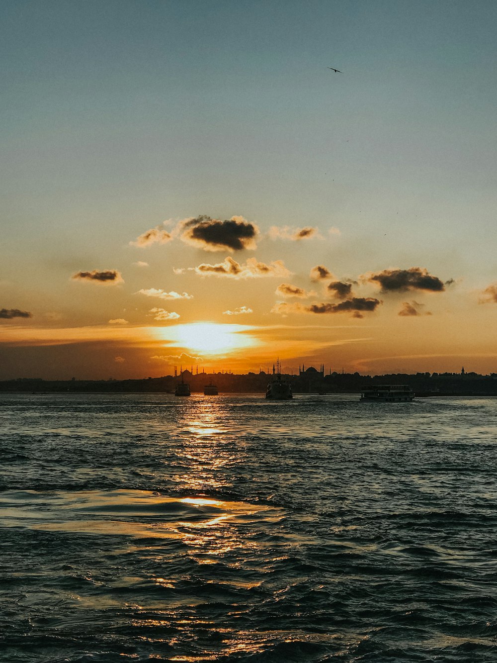 silhouette of birds flying over the sea during sunset