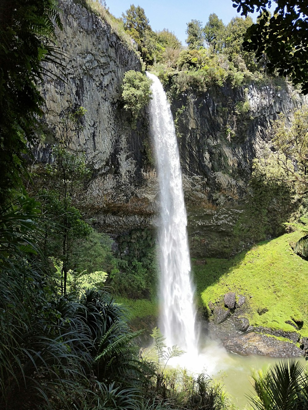 Cascadas en medio del bosque