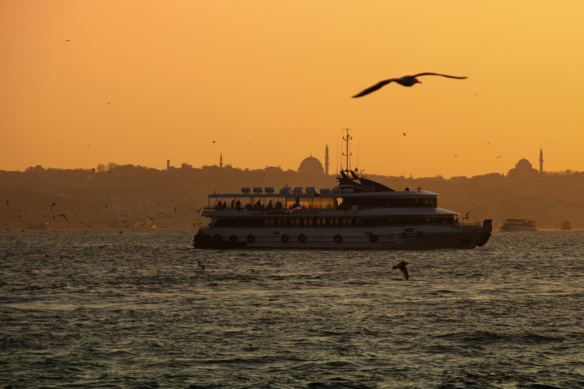 gray computer monitor