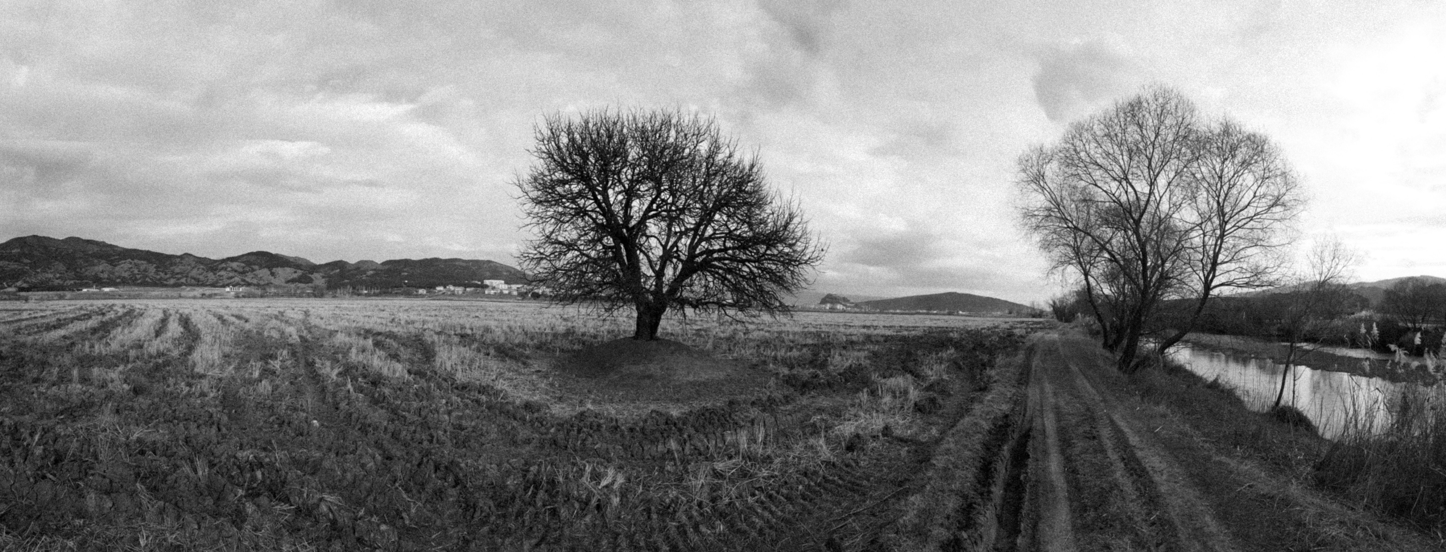 Photo by onurozkardes
