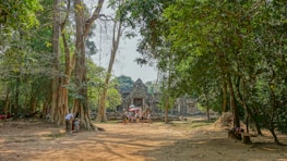 A forest pathway leads to an ancient stone temple surrounded by lush green trees, with a group of people approaching the entrance. The scene offers a sense of historical exploration set in a natural environment.