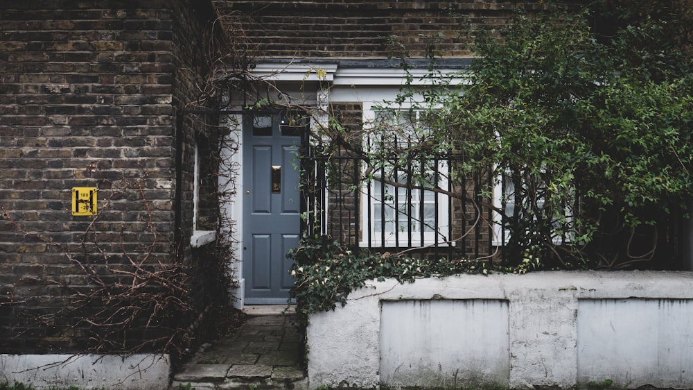 white wooden door with green plants