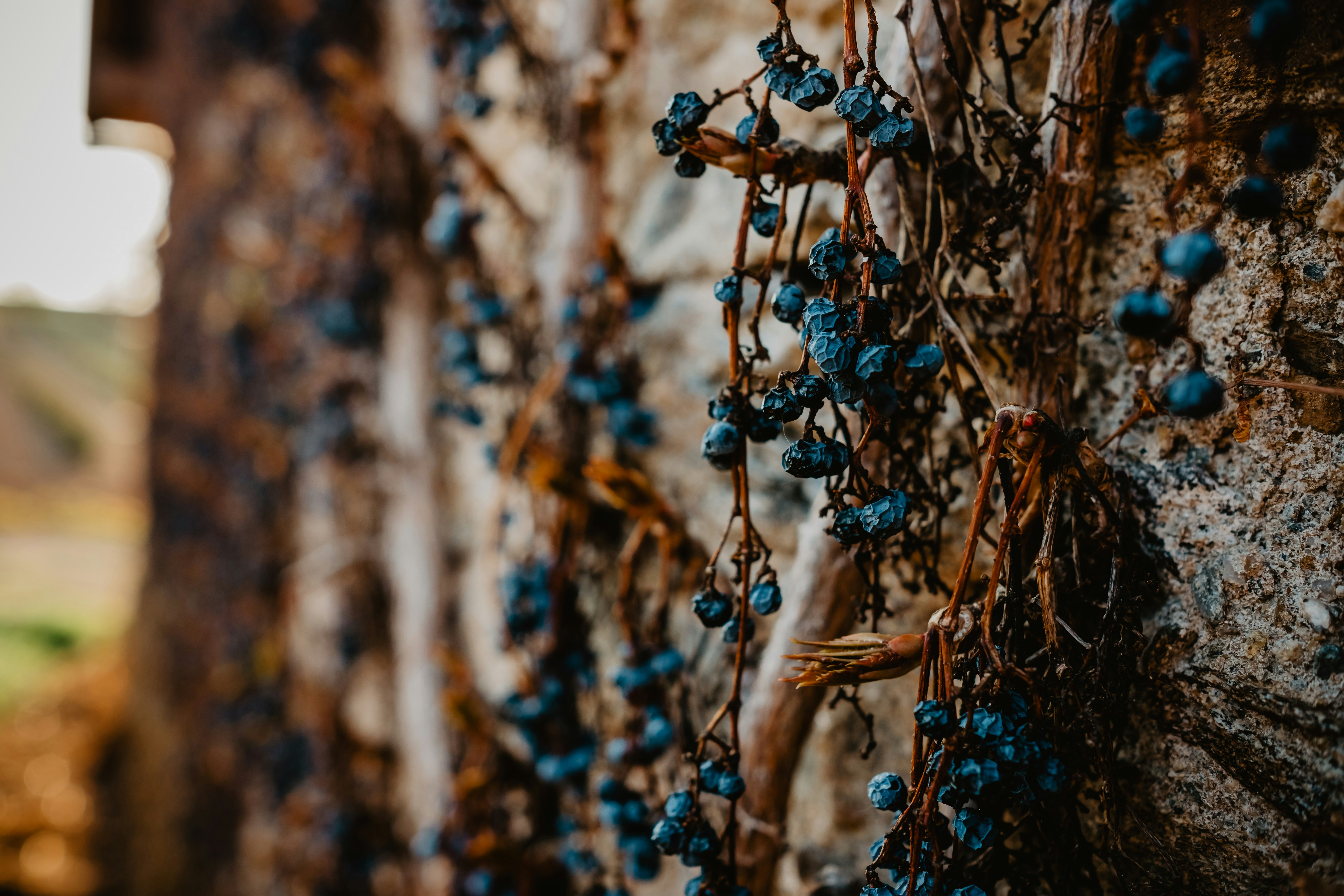 Photo by victoriapriessnitz