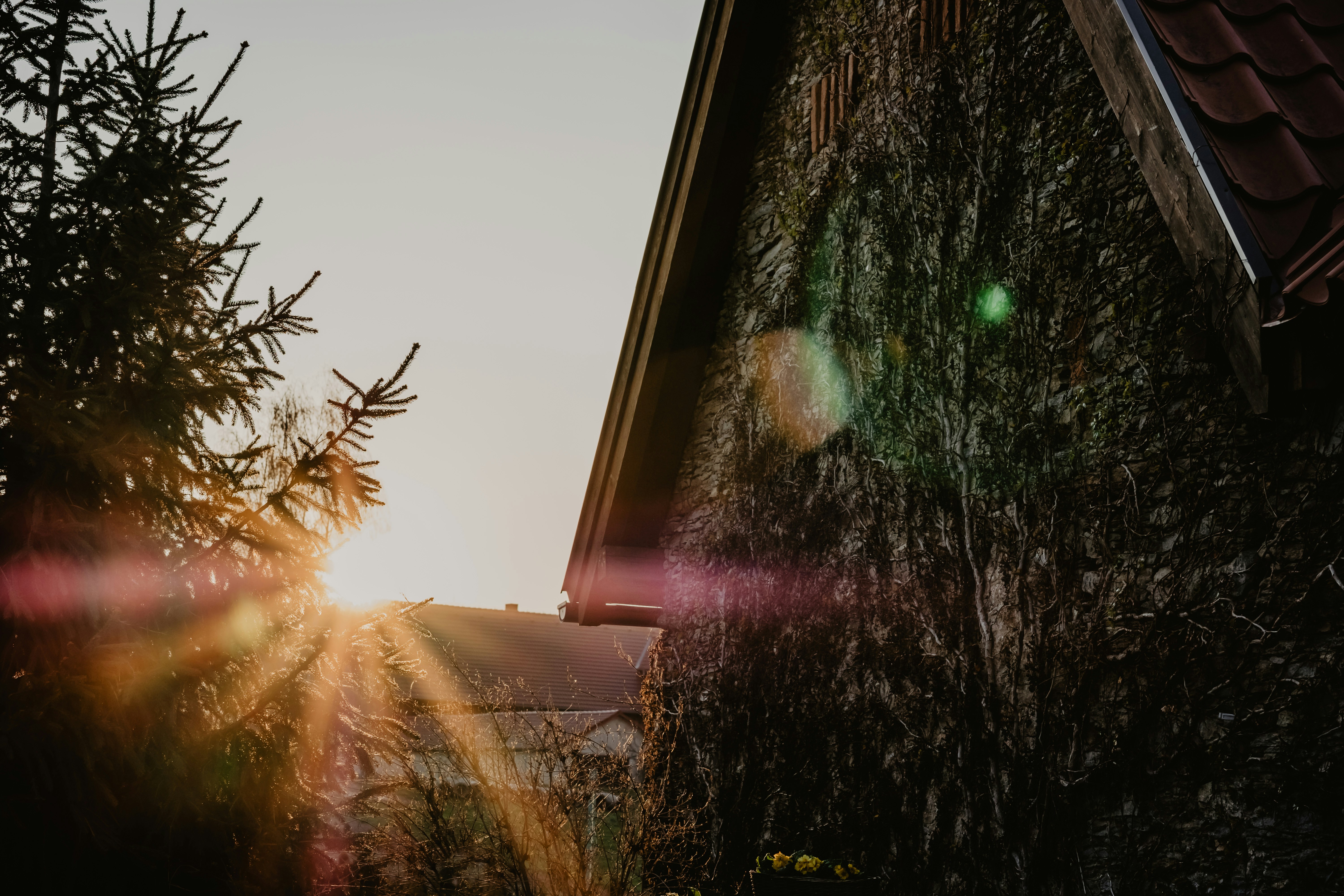 BuckHath Coin header image