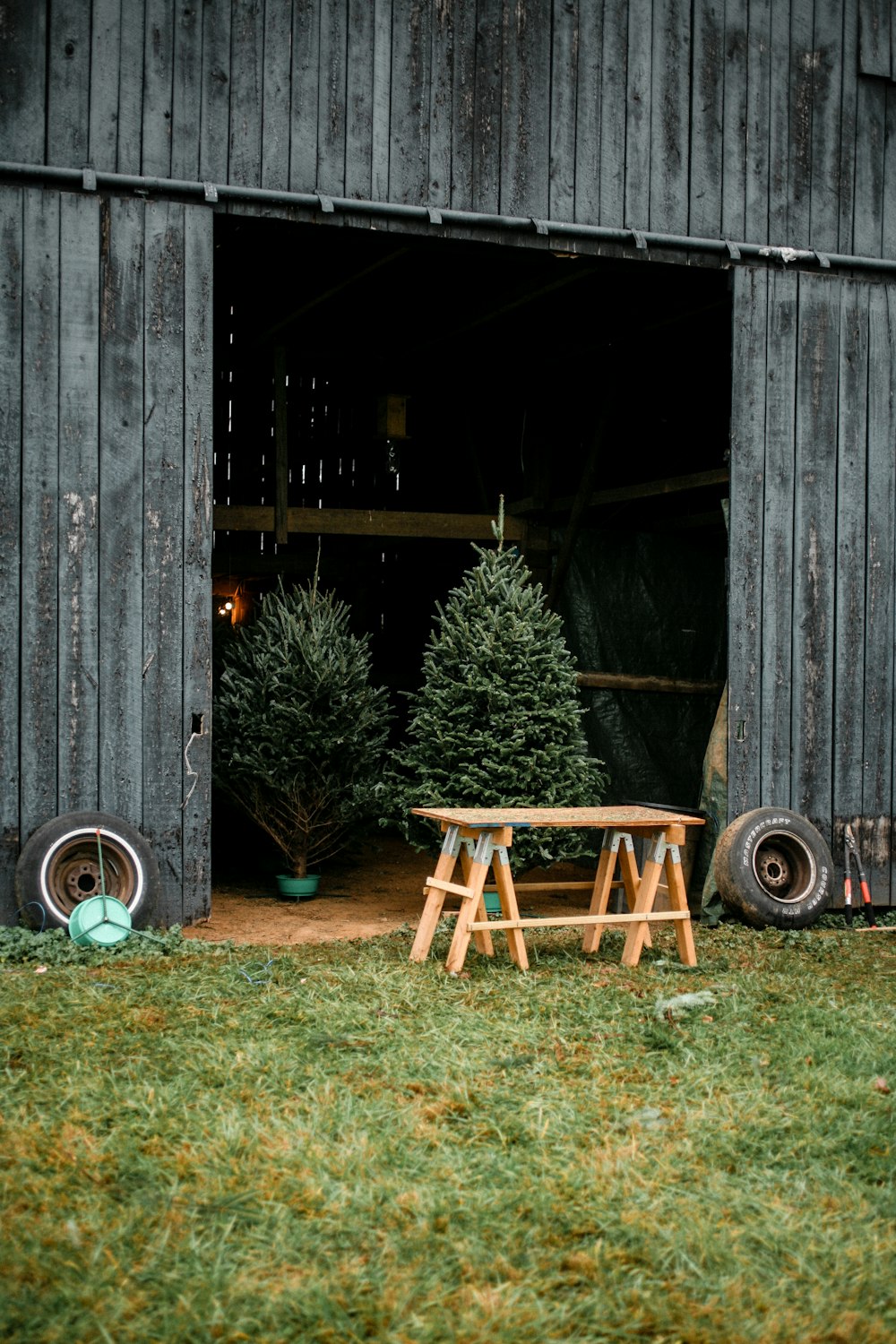 brown wooden bench beside green plant