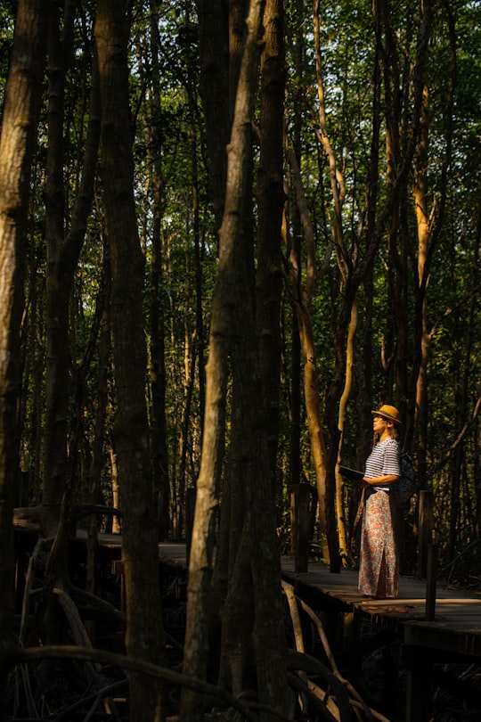 photo of Rayong Forest near Sanctuary of Truth