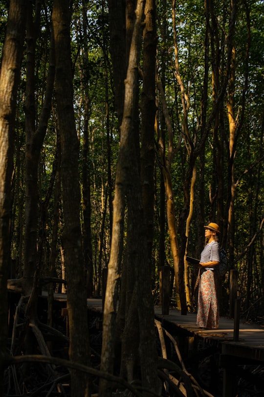 woman in black and white stripe long sleeve shirt standing on brown wooden bridge surrounded by in Rayong Thailand