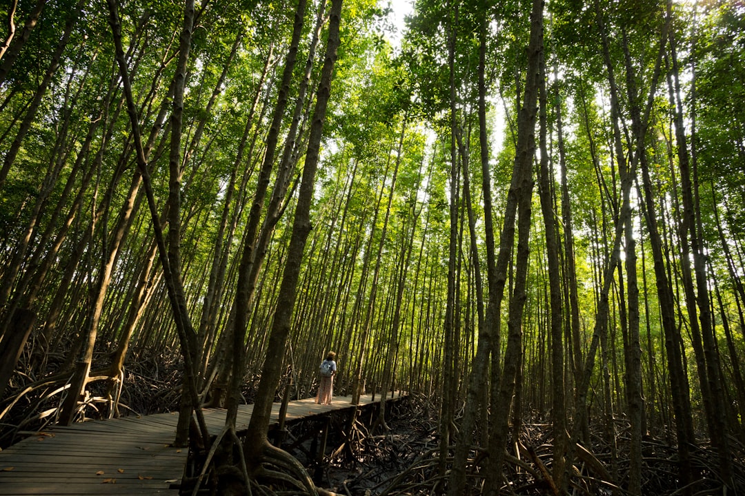 Travel Tips and Stories of Rayong in Thailand