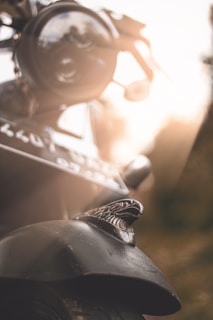 A close-up of a vintage motorcycle with a prominent eagle emblem on its front fender. The focus is on the metallic eagle design, set against a blurred background with warm lighting, giving a sense of nostalgia and classic style.