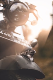A close-up of a vintage motorcycle with a prominent eagle emblem on its front fender. The focus is on the metallic eagle design, set against a blurred background with warm lighting, giving a sense of nostalgia and classic style.
