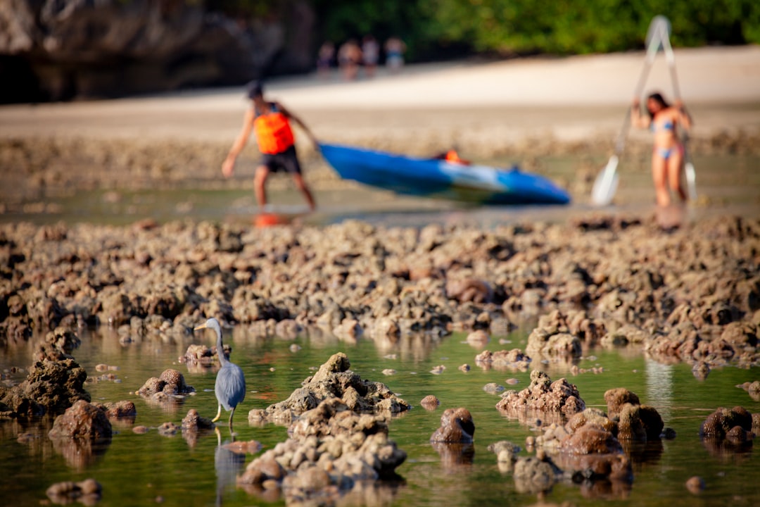 people walking on beach shore during daytime