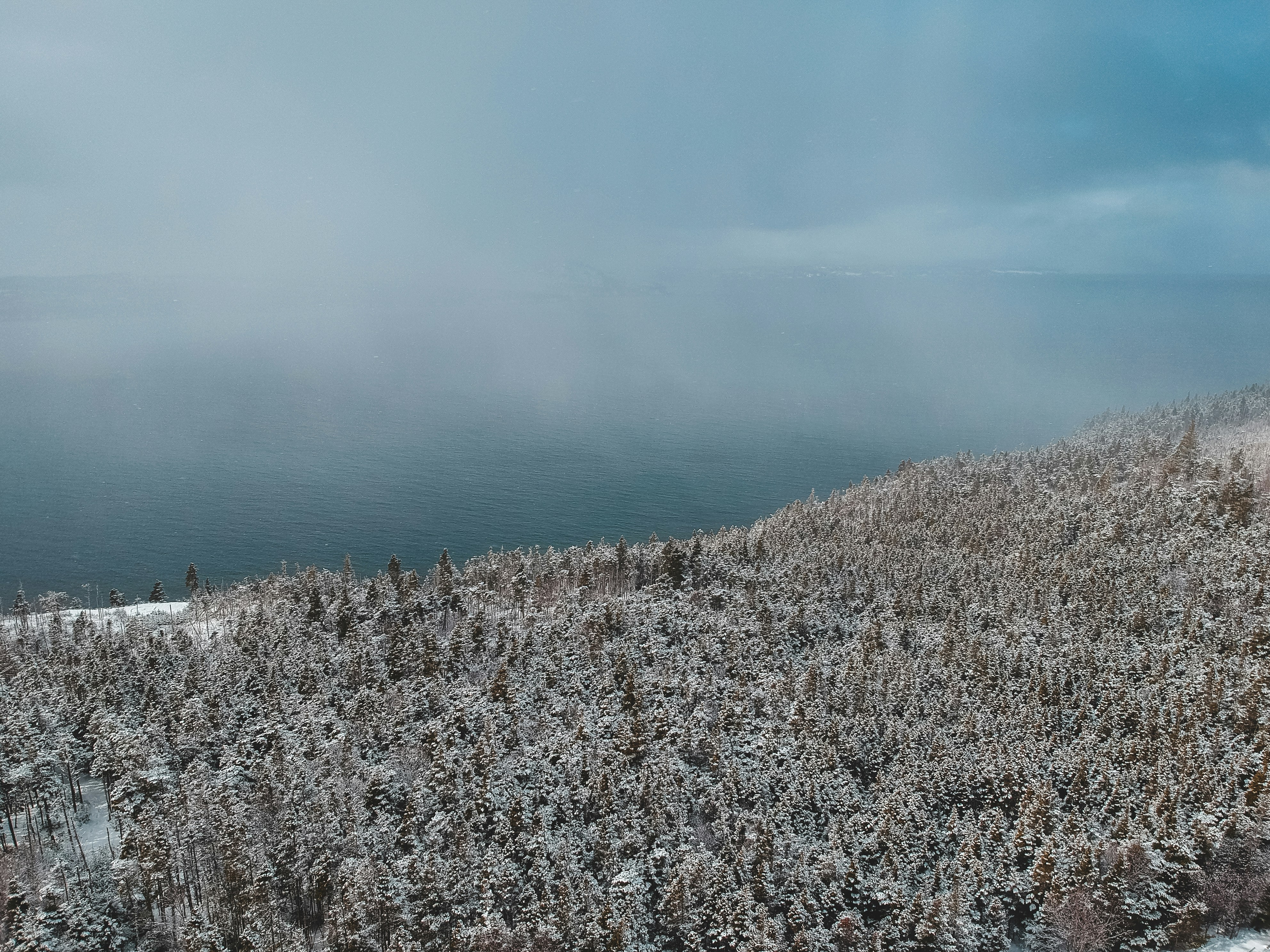 white and brown grass field near body of water during daytime