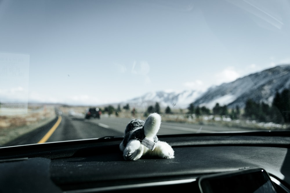 white plush toy on car dashboard