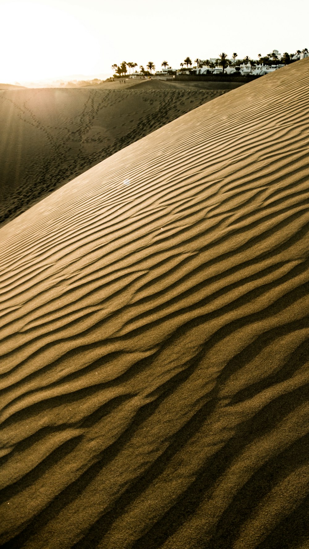 brown sand with water during daytime