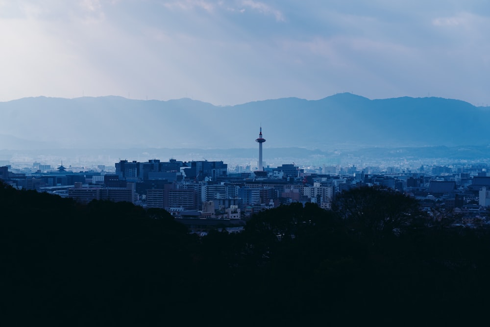 낮 동안 흰 구름 아래 푸른 나무 근처의 흰색 콘크리트 건물