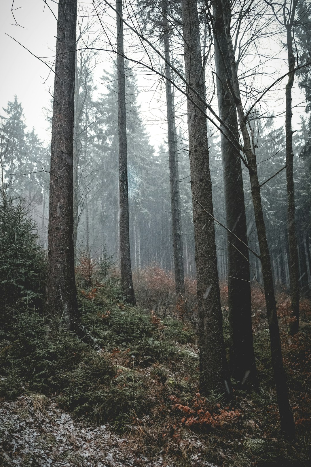 Natural landscape photo spot Mariánská Czech Republic