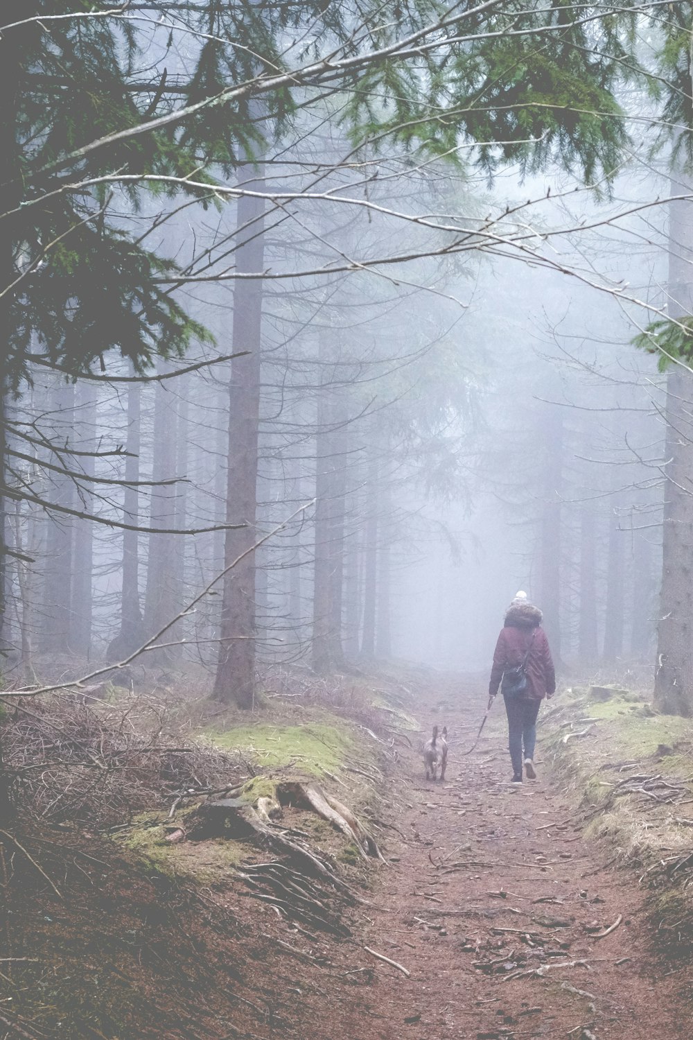 Persona in giacca rossa che cammina sulla foresta durante il giorno