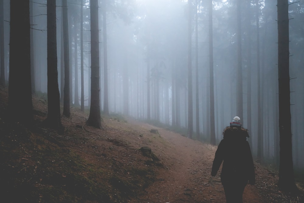 person in black jacket walking on dirt road