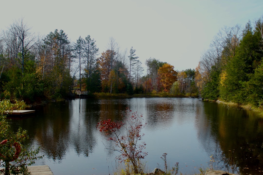 Nature reserve photo spot Guelph 27 Albert St E