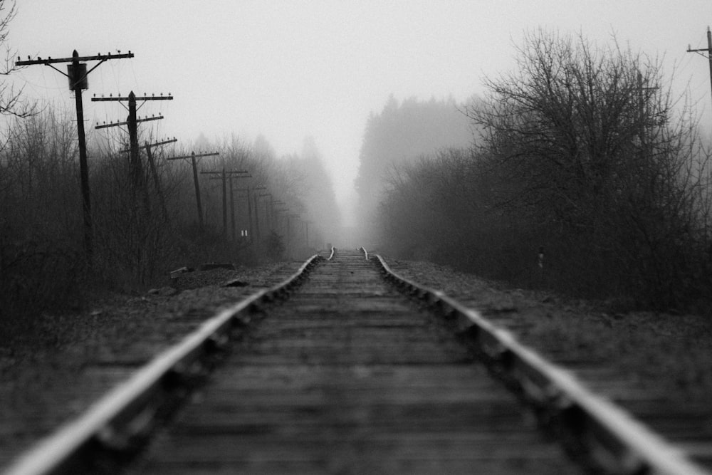 grayscale photo of pathway between trees