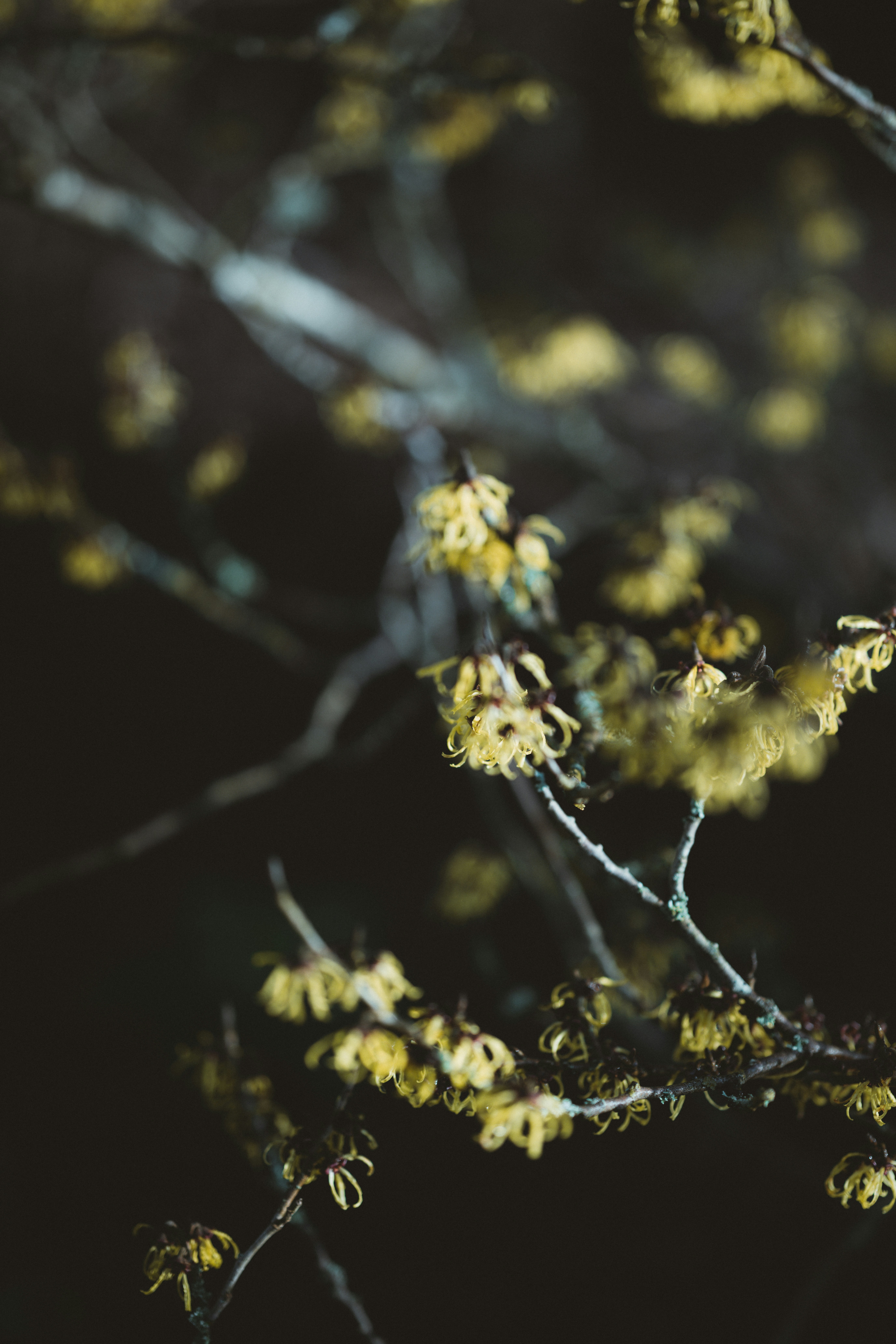 Photo by anniespratt