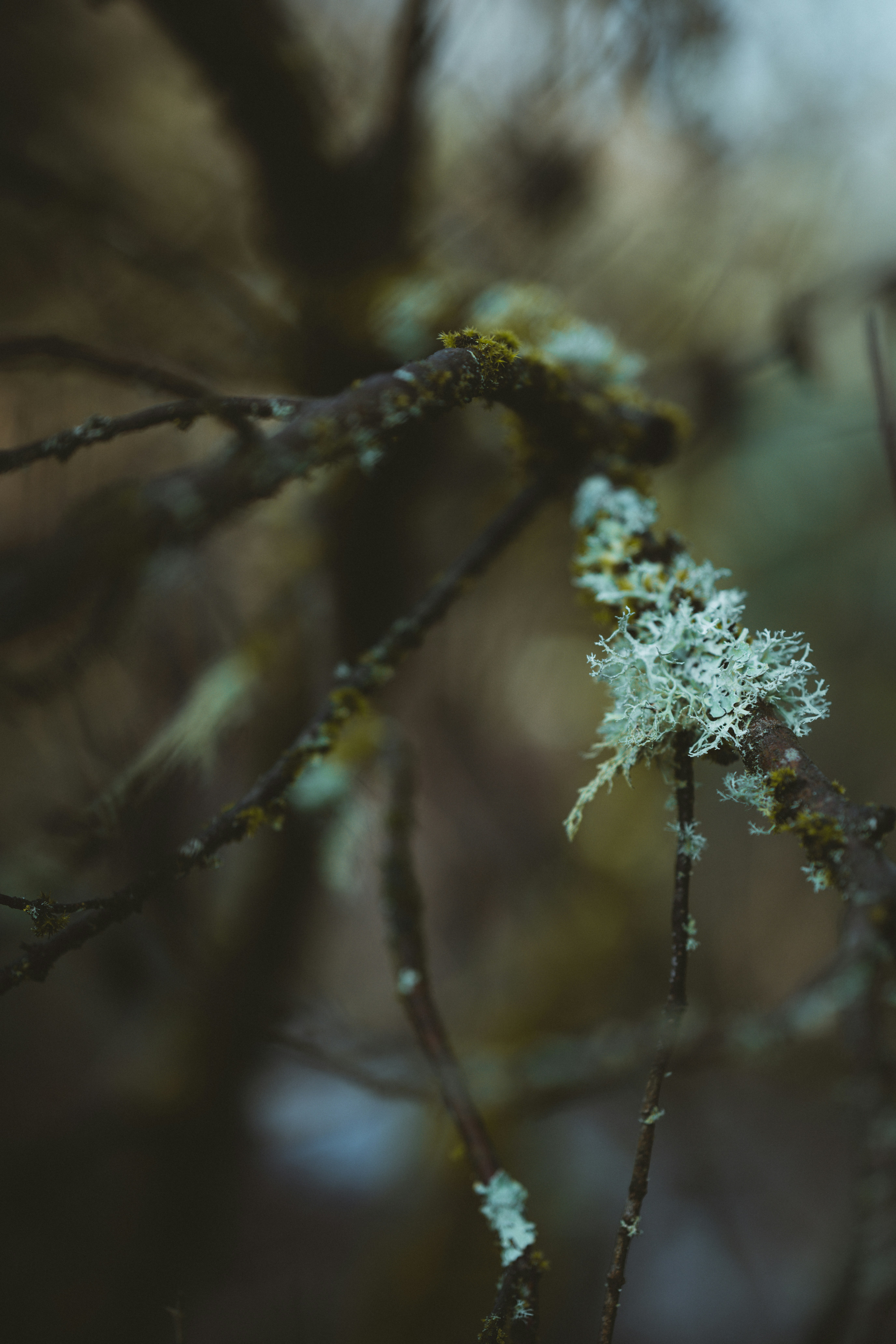 Photo by anniespratt