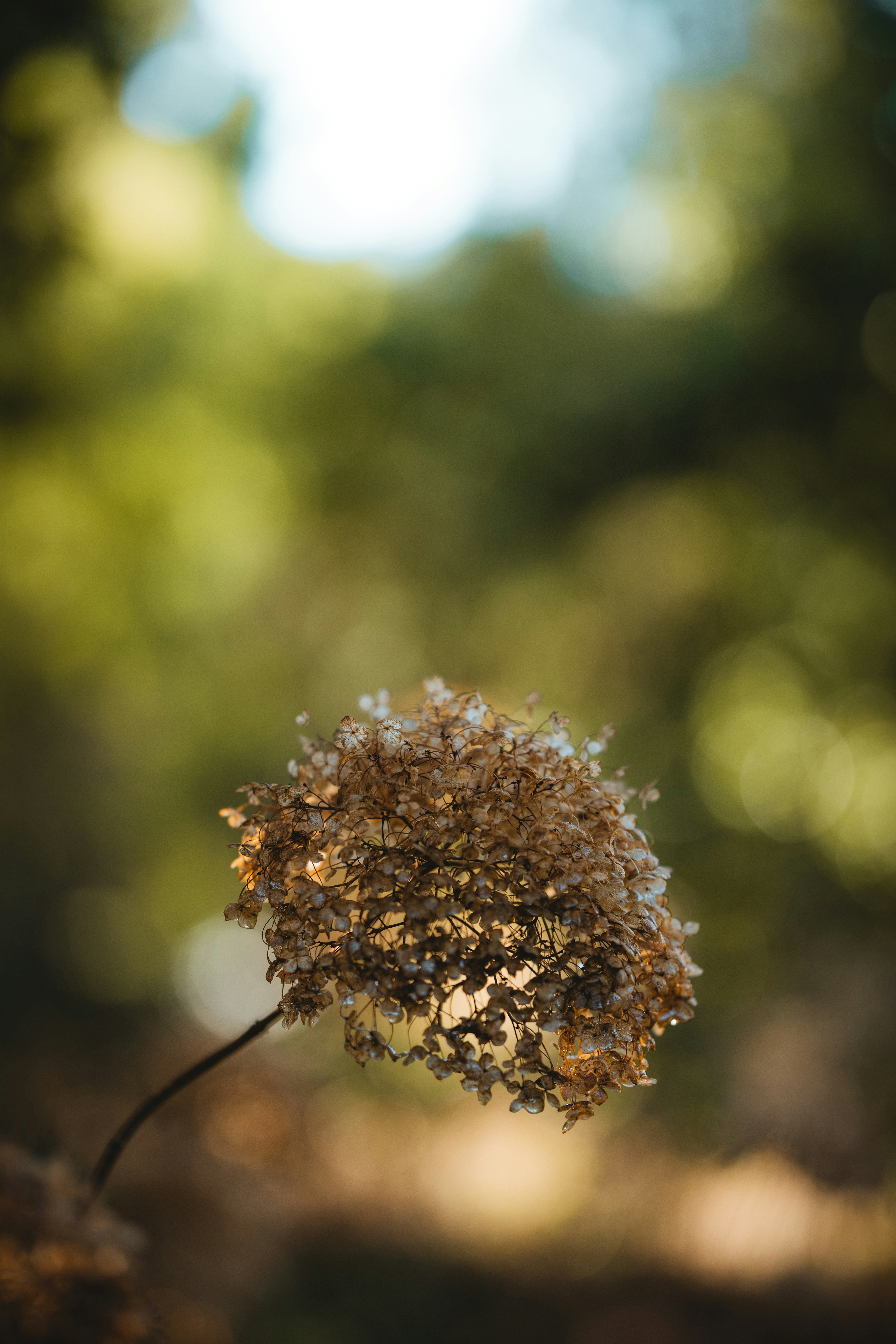 Photo by anniespratt