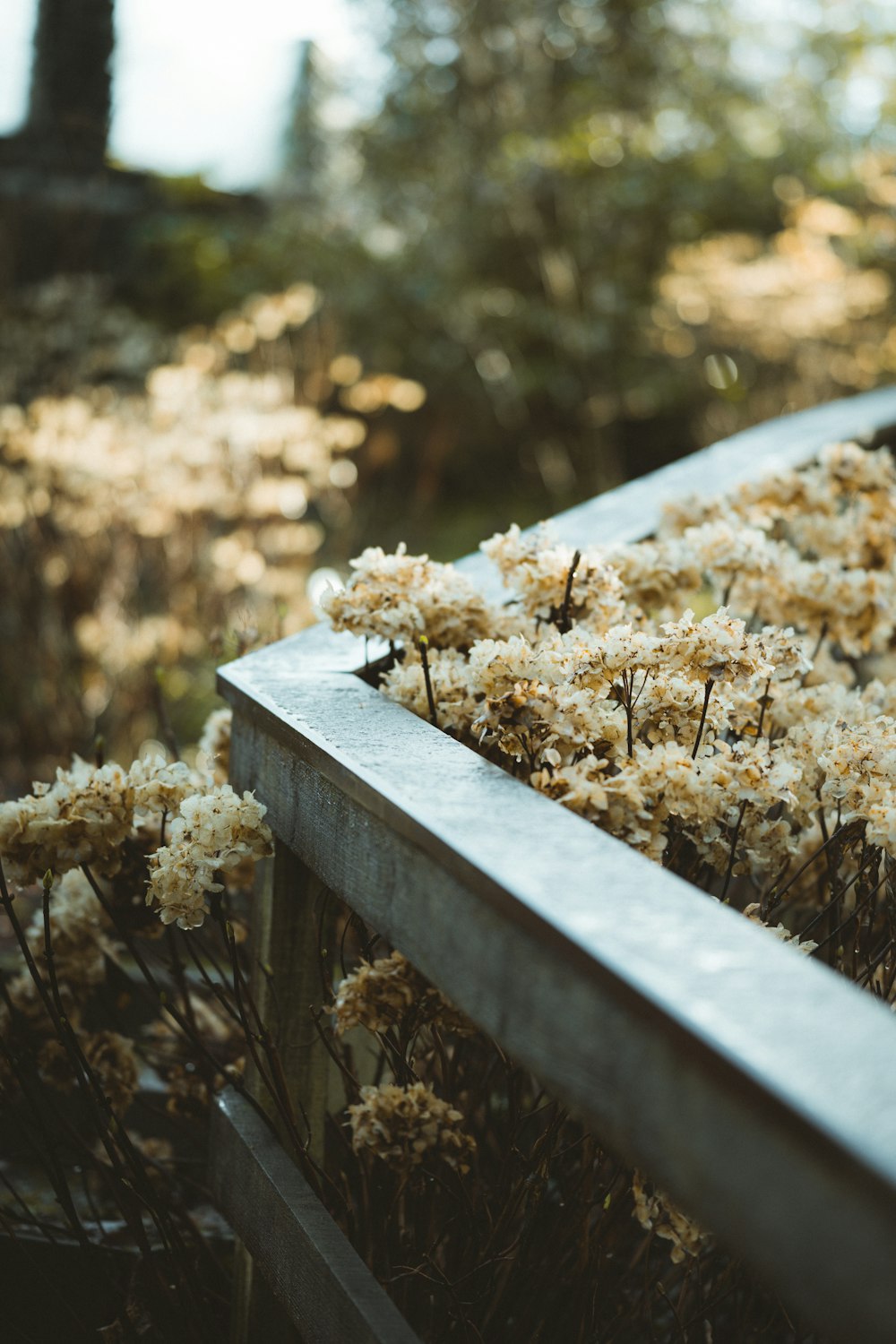 brown wooden bench with brown leaves