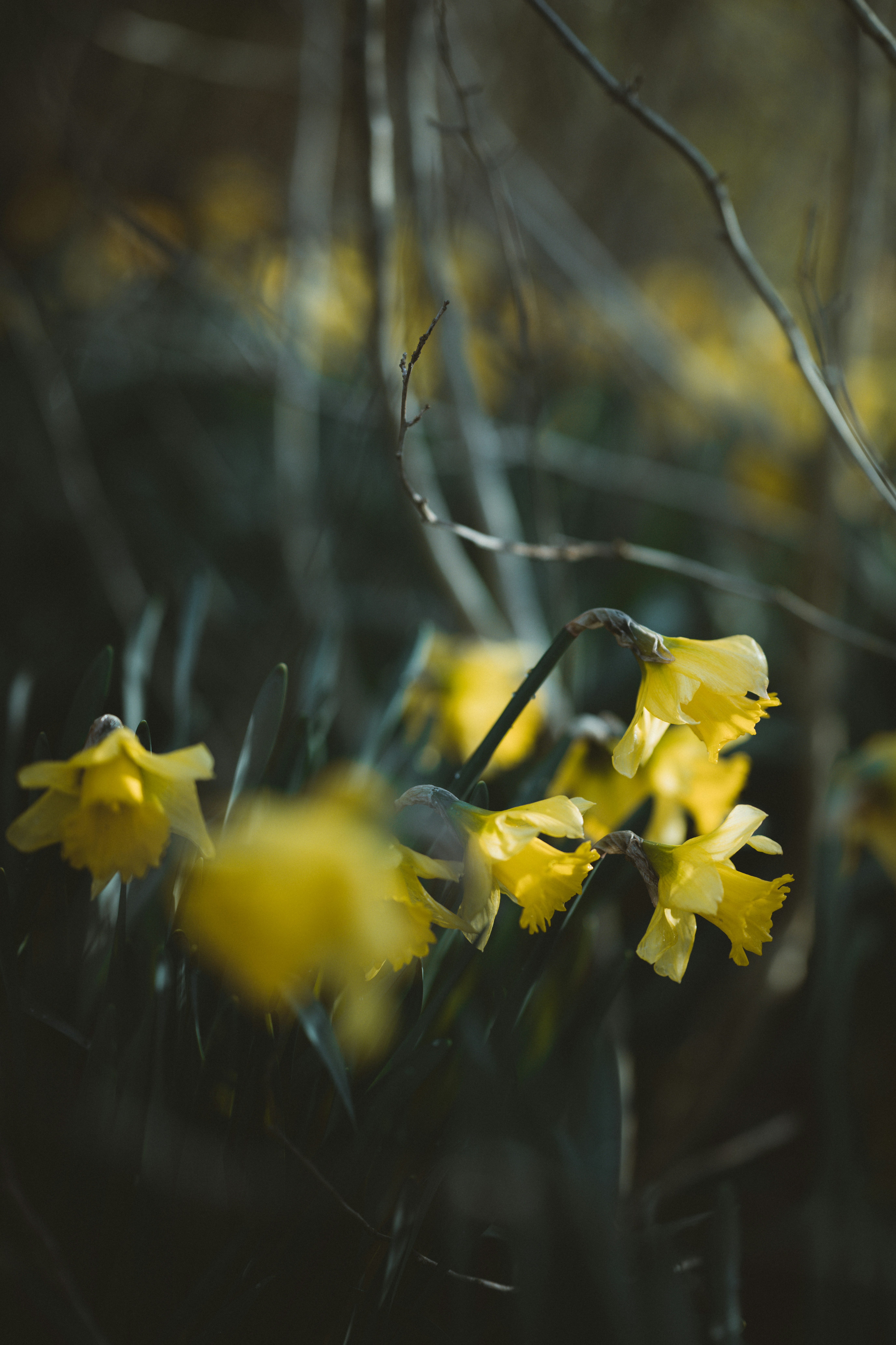 Photo by anniespratt