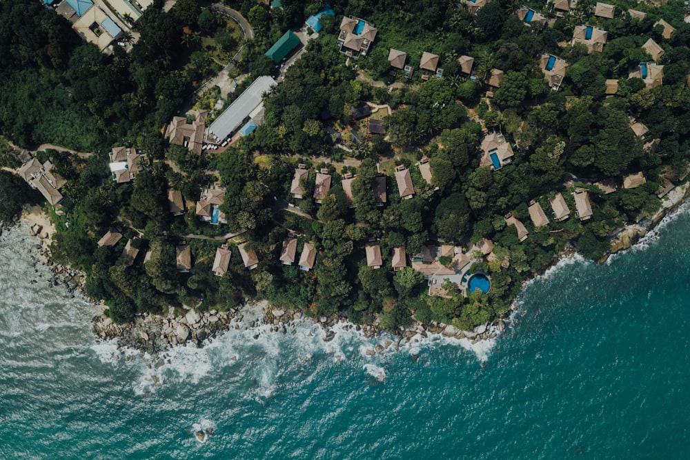 aerial view of green trees and body of water during daytime