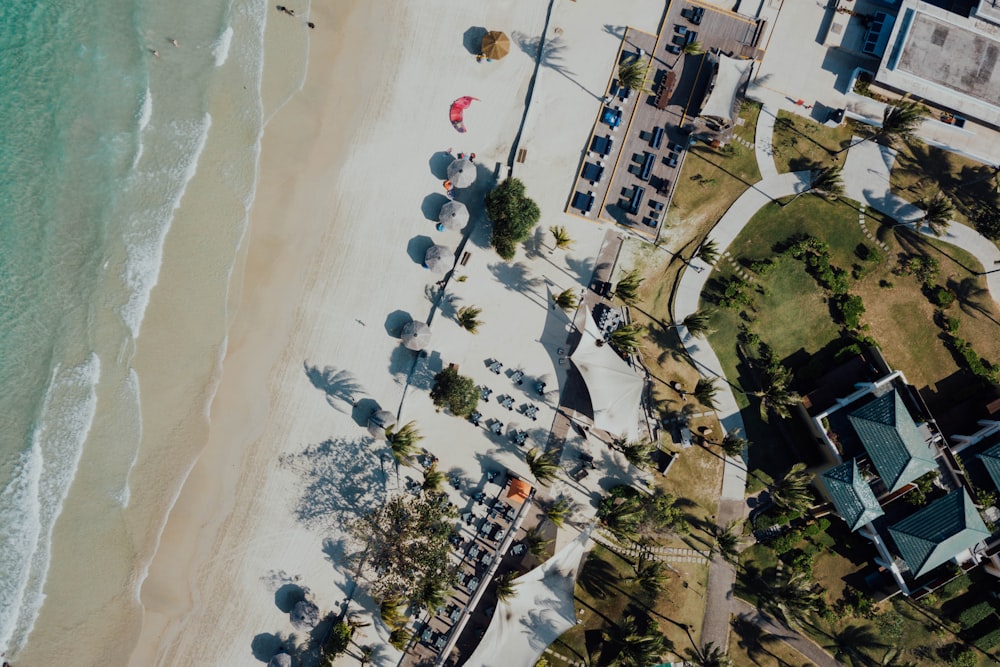 aerial view of people on beach during daytime