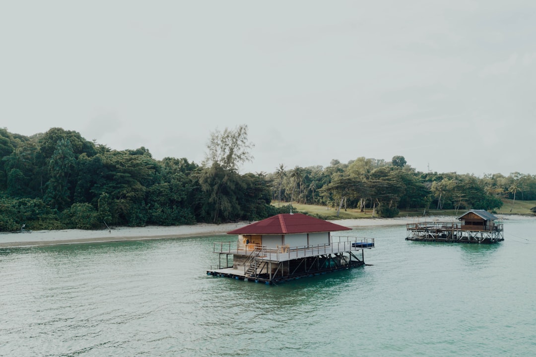 red and white wooden house on body of water during daytime