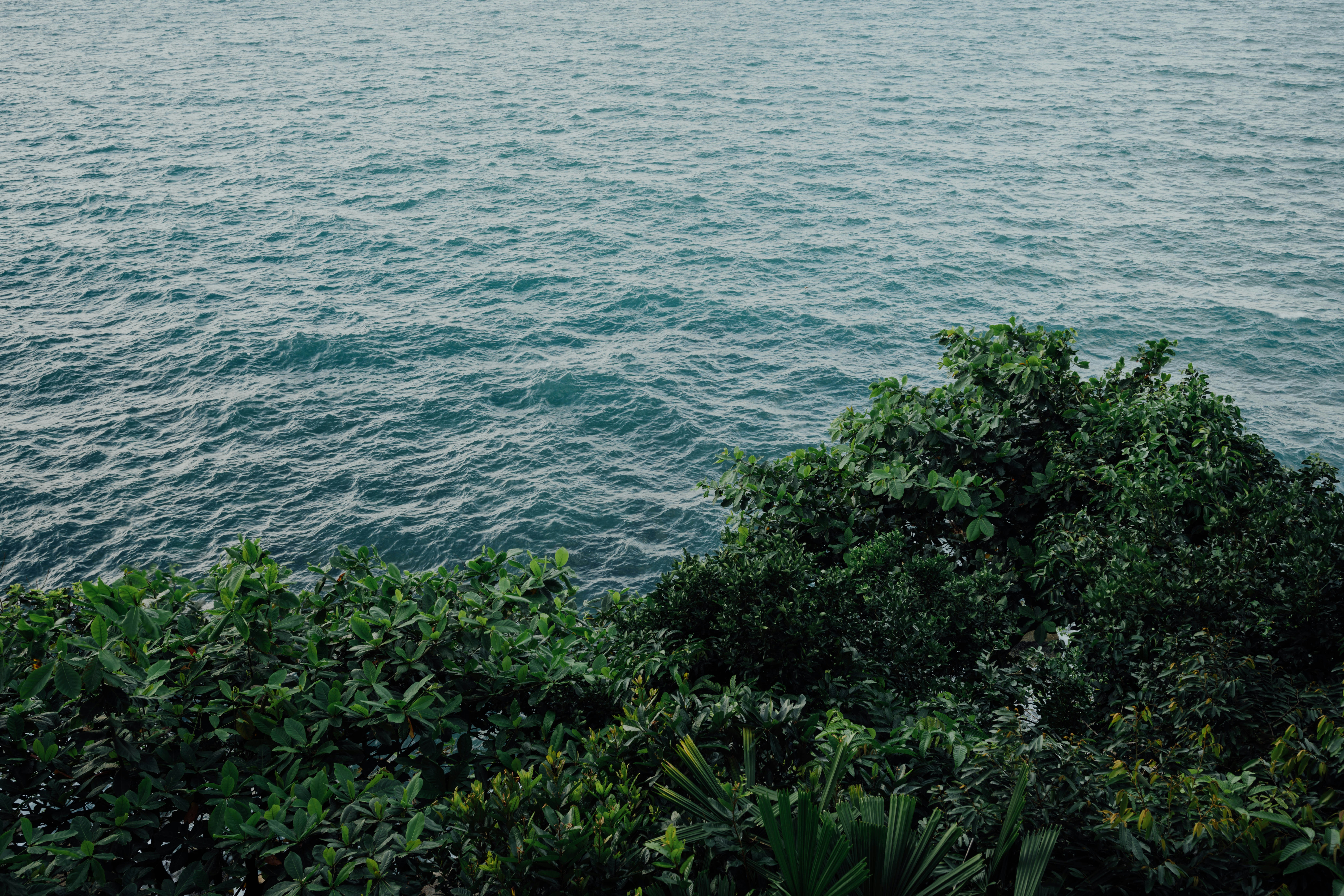 Photo by chuttersnap