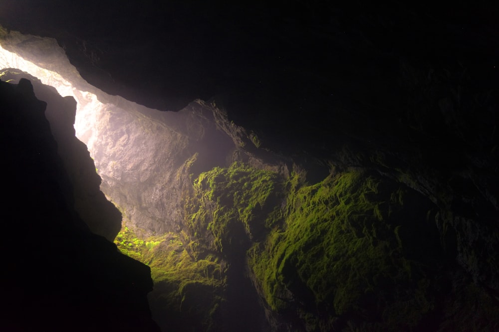 緑の苔のある茶色と黒の洞窟